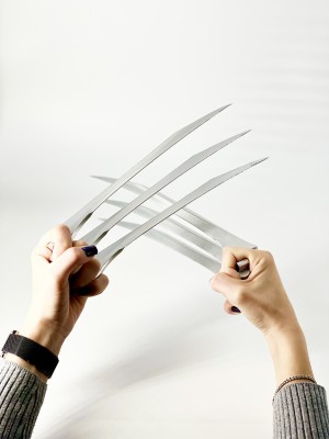 Когти Росомахи