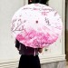 Зонтик Китайский большой розовый Зонтик Китайский большой розовый