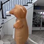 Крыса | мышь новая