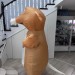 Крыса | мышь новая