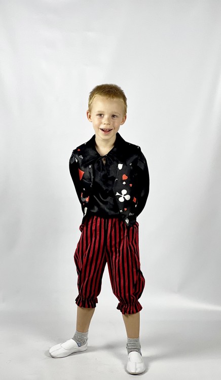 Шулер карточный 