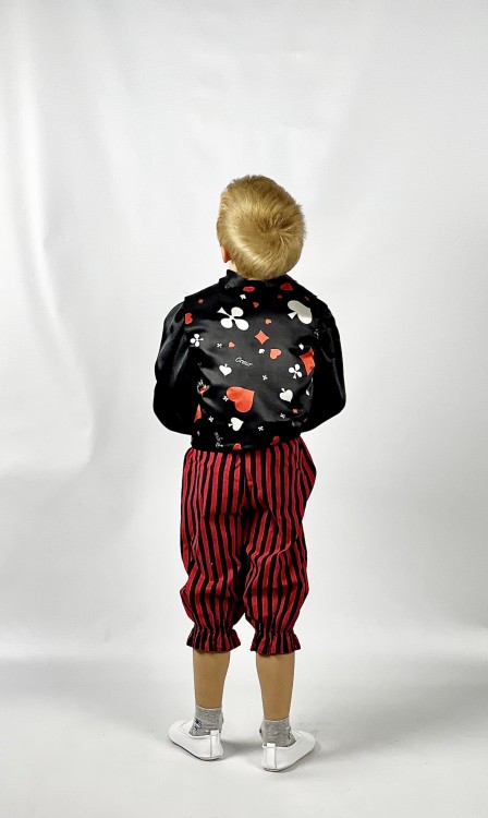 Шулер карточный 