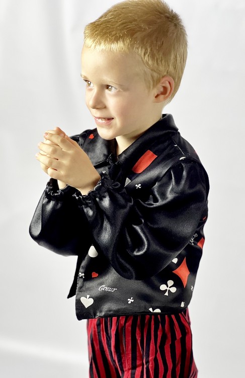 Шулер карточный 