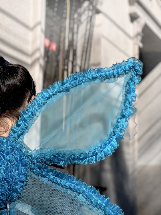 Крылья бабочки голубые Крылья бабочки голубые